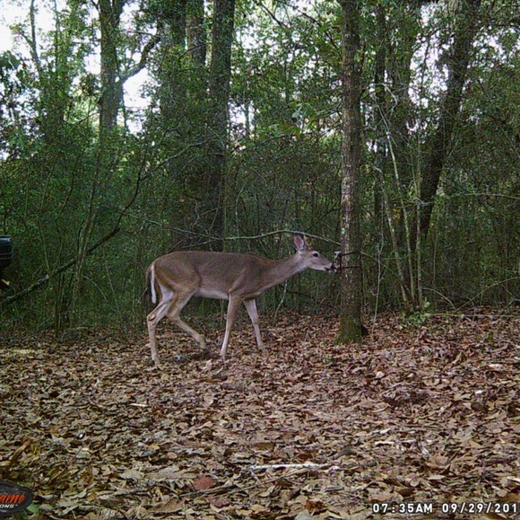 Meet your Posher, James - Picture 1 of 1